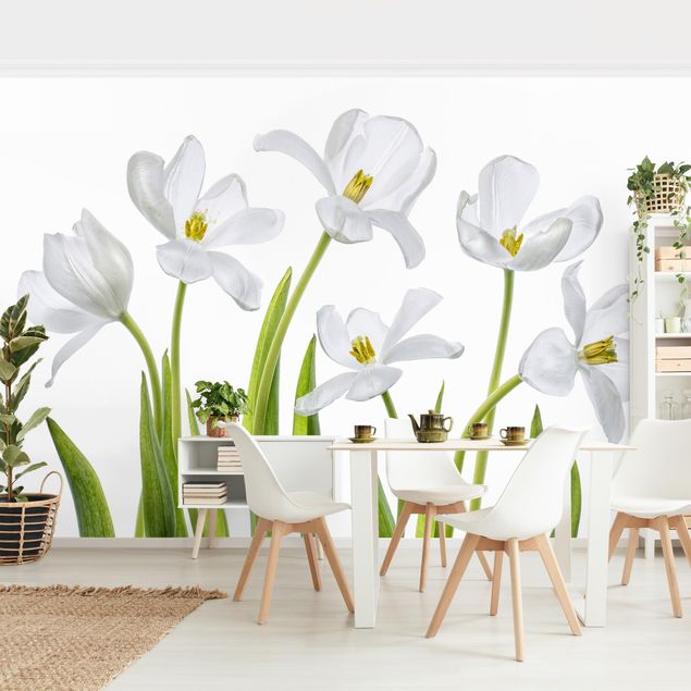 Papier peint moderne Five White Tulips