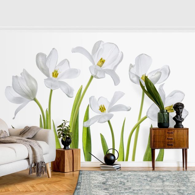 Papier peint fleurs Five White Tulips
