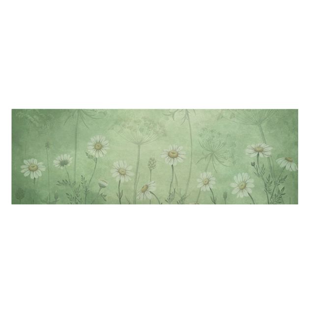 Tableaux florals Marguerites dans la brume verte