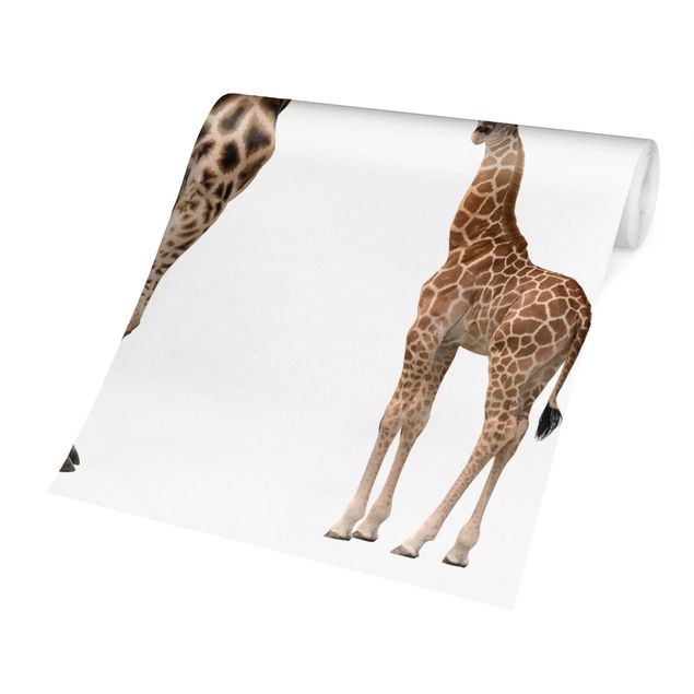 papier peint xxl Mère et enfant girafe