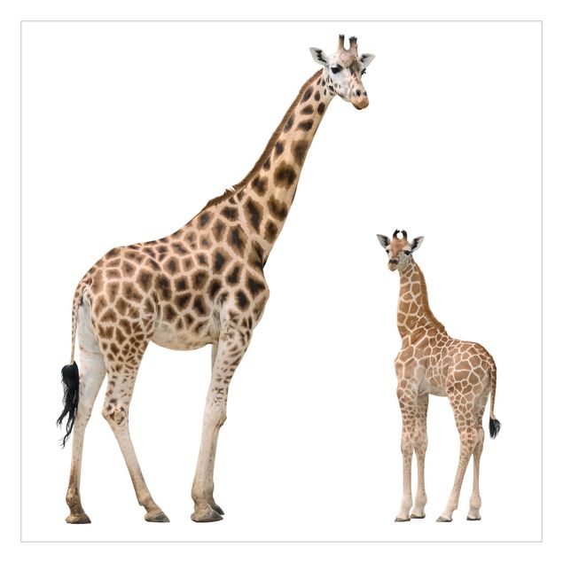 Papier peint - Giraffe Mother And Child