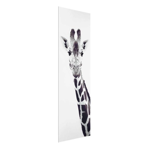 Tableaux modernes Portrait de girafe en noir et blanc