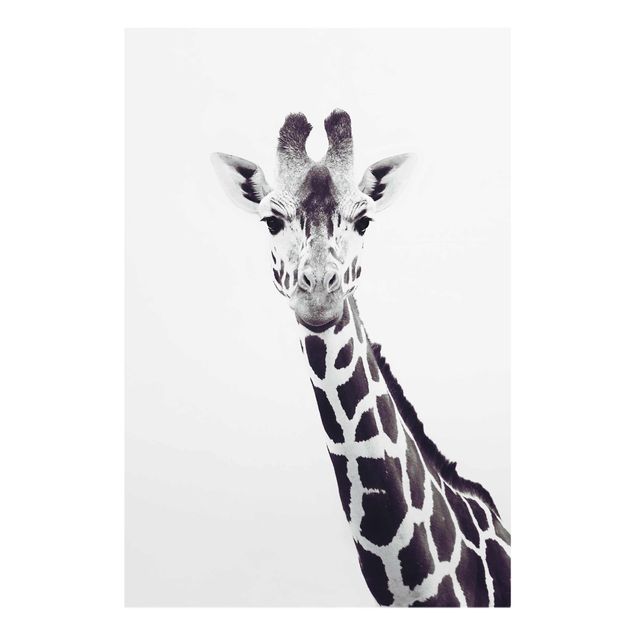 Tableaux animaux Portrait de girafe en noir et blanc