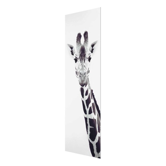 Tableaux noir et blanc Portrait de girafe en noir et blanc