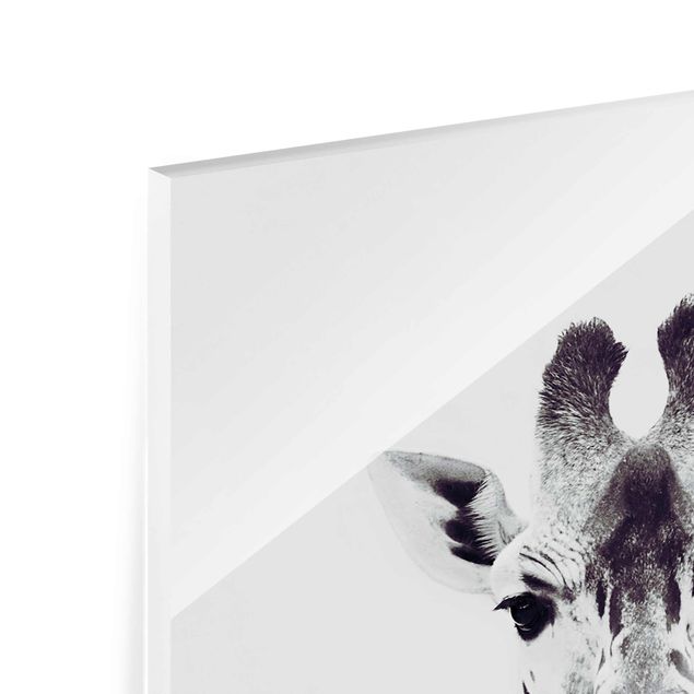 Tableaux Portrait de girafe en noir et blanc