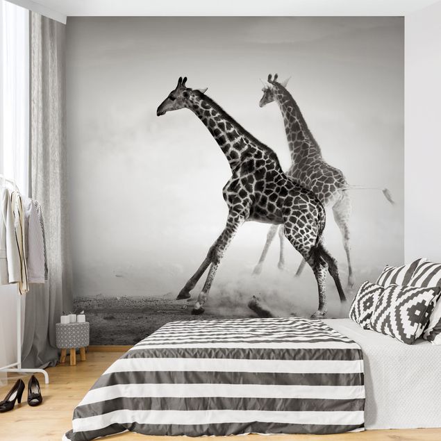 Papiers peints modernes Girafes à la chasse
