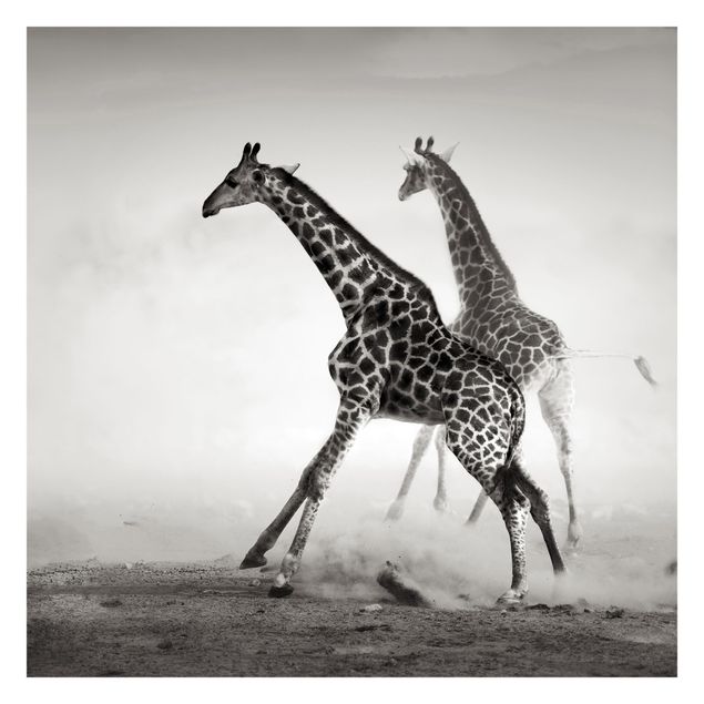Papier peint animaux forêt Girafes à la chasse