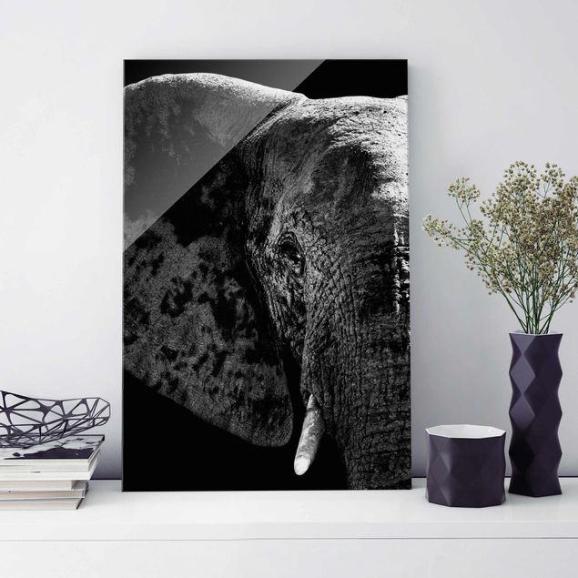 Tableaux éléphants Éléphant d'Afrique noir et blanc