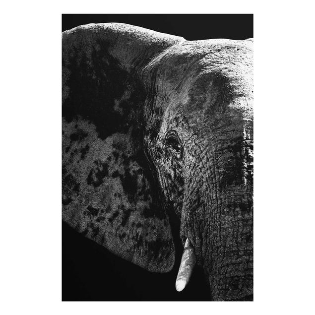 Tableaux animaux Éléphant d'Afrique noir et blanc