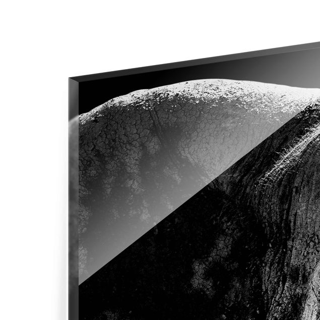 Tableaux en verre magnétique Éléphant d'Afrique noir et blanc