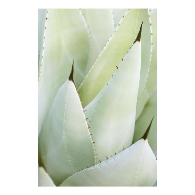 Tableau couleur vert Aloe