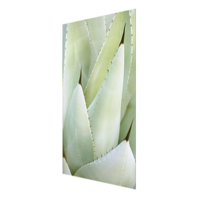 Tableaux muraux Aloe