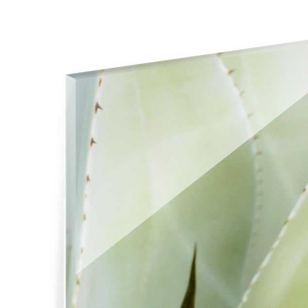 Tableaux en verre magnétique Aloe