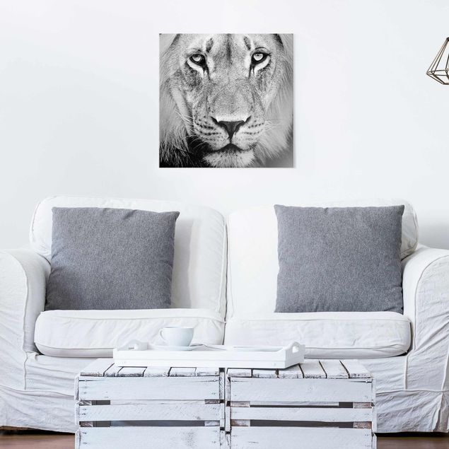 Tableaux en verre noir et blanc Vieux Lion