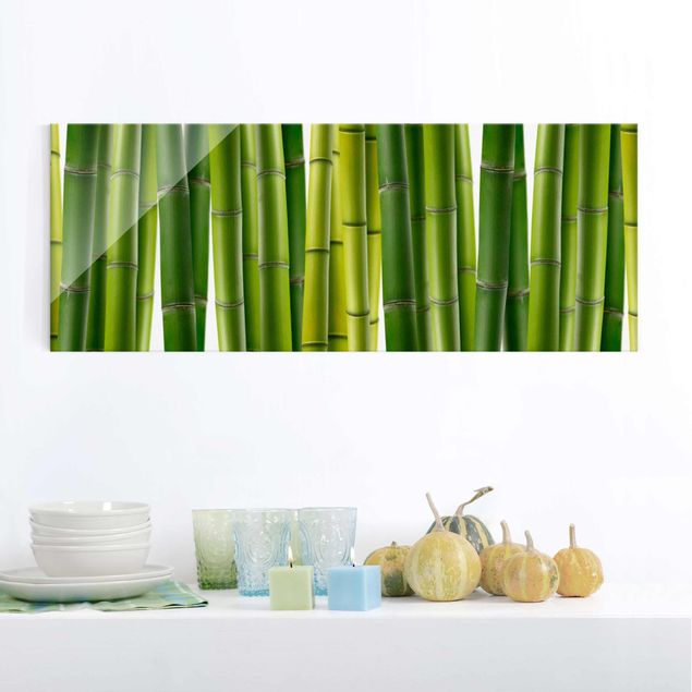 Tableaux paysage Plantes de bambou