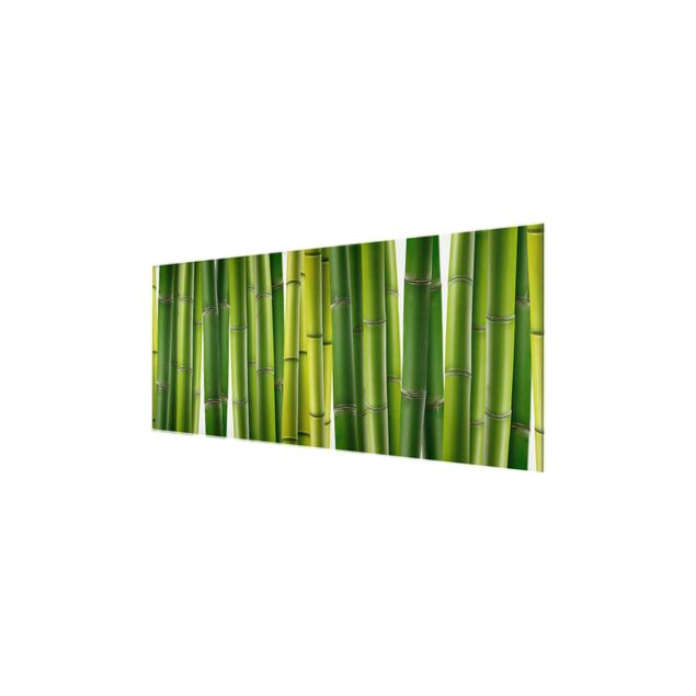Tableaux bambou Plantes de bambou