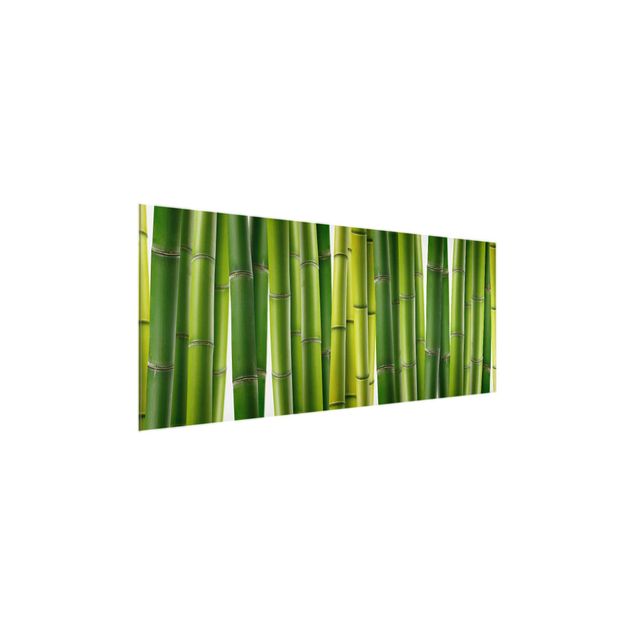 Tableaux modernes Plantes de bambou