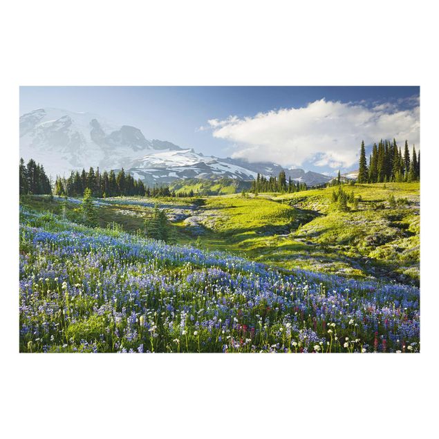 Tableaux montagnes Mountain Meadow With Blue Flowers in Front of Mt. Rainier