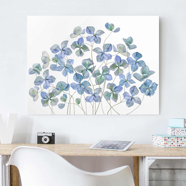 Déco mur cuisine Fleurs d'hortensia bleues