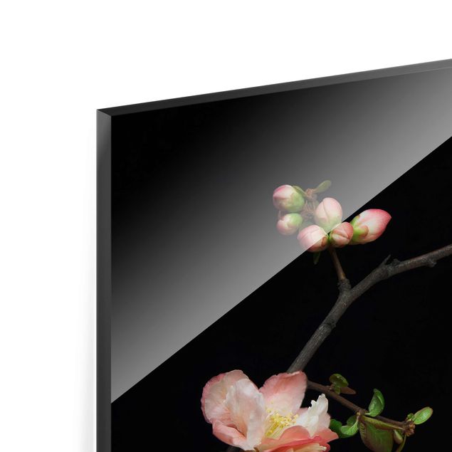 Tableau en verre - Blossoming Branch Apple Tree