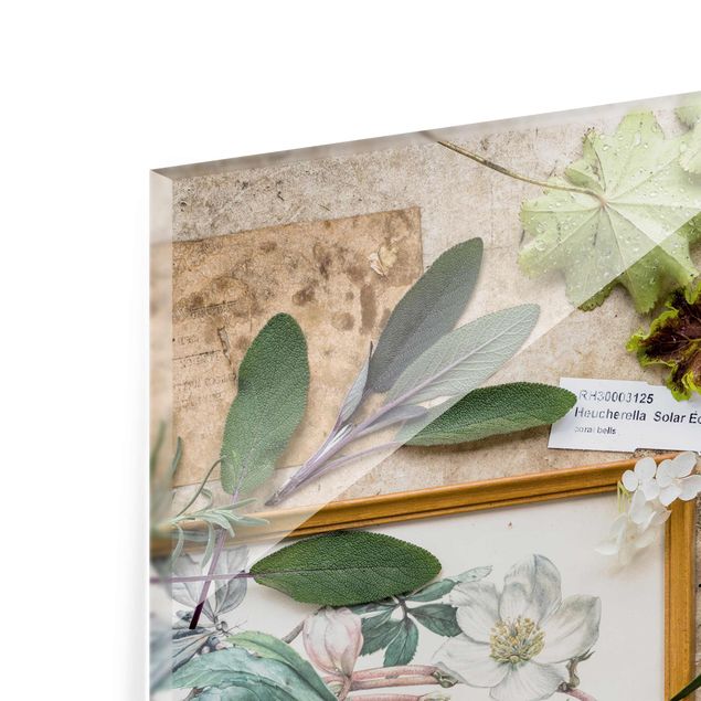 Tableau en verre - Flowers And Garden Herbs Vintage