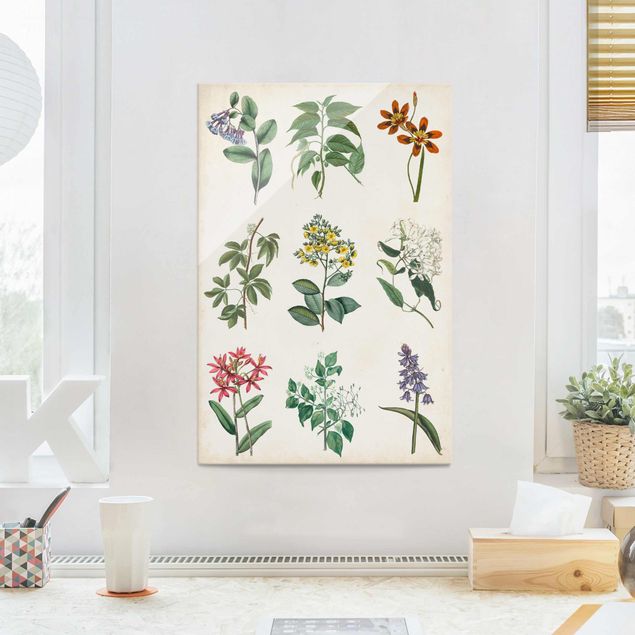Tableaux en verre fleurs Poster botanique I