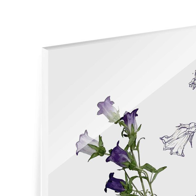 Tableau en verre - Botanical Watercolour - Bellflower