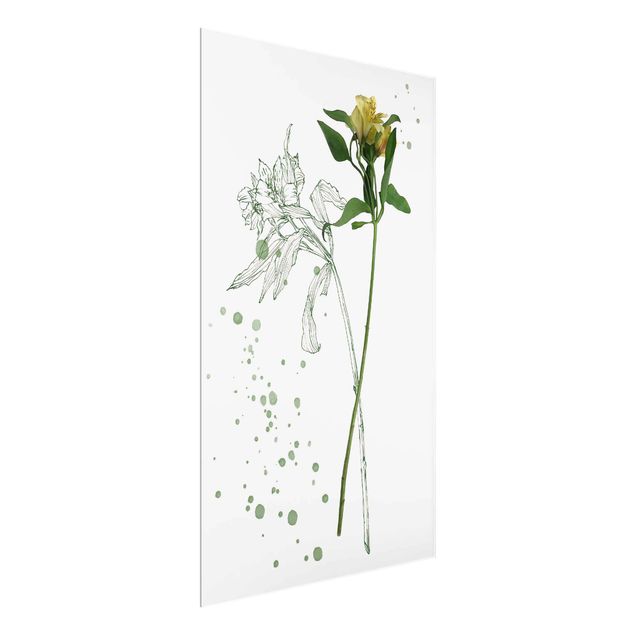 Tableaux fleurs Botanique à l'aquarelle - Lys