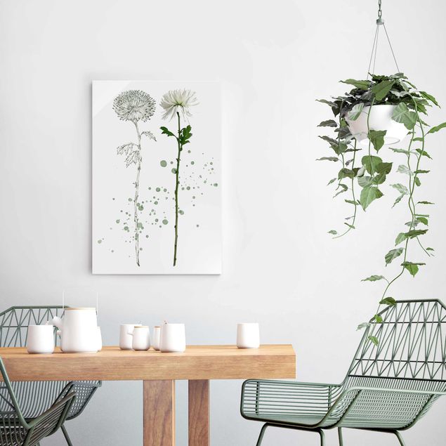 Tableaux en verre fleurs Botanique à l'aquarelle - Pissenlit