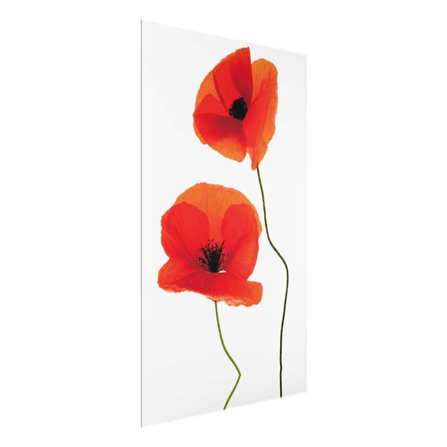 Tableau coquelicots Charming Poppies