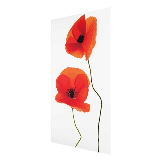 Tableaux moderne Charming Poppies