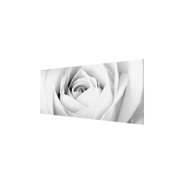 Tableaux en verre noir et blanc Close Up Rose