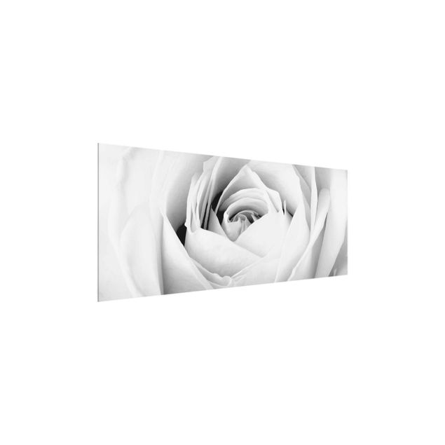 Tableaux noir et blanc Close Up Rose