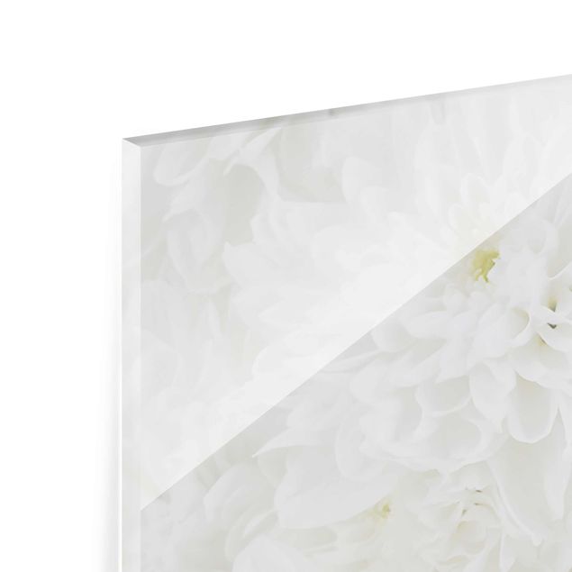 Tableau en verre - Dahlias Sea Of Flowers White