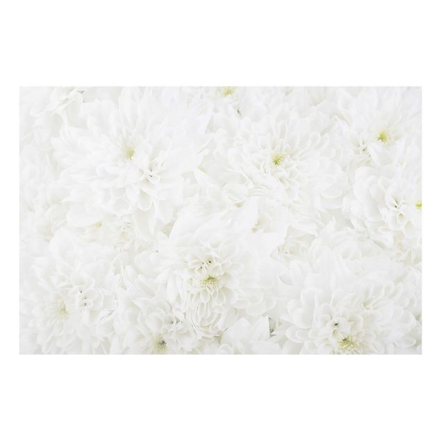 Tableau fleurs Dahlias Mer De Fleurs Blanc