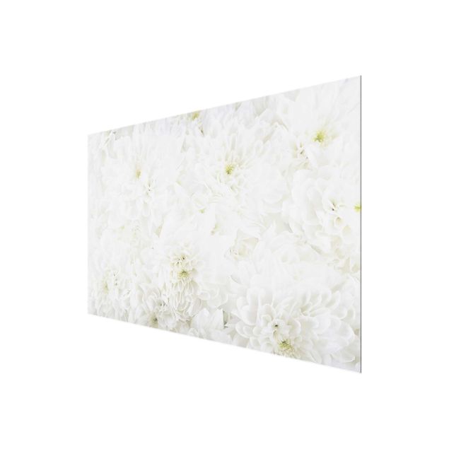 Tableau décoration Dahlias Mer De Fleurs Blanc