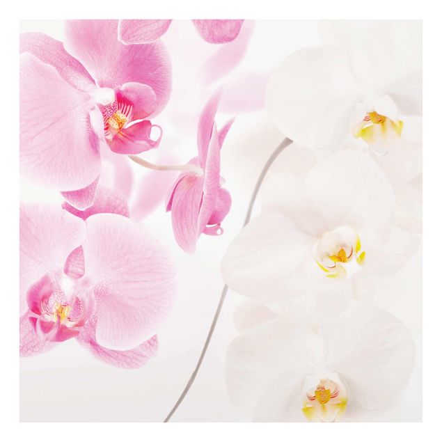 Tableaux en verre fleurs Orchidées délicates