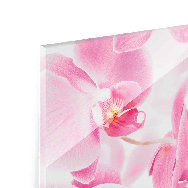 Tableaux Orchidées délicates