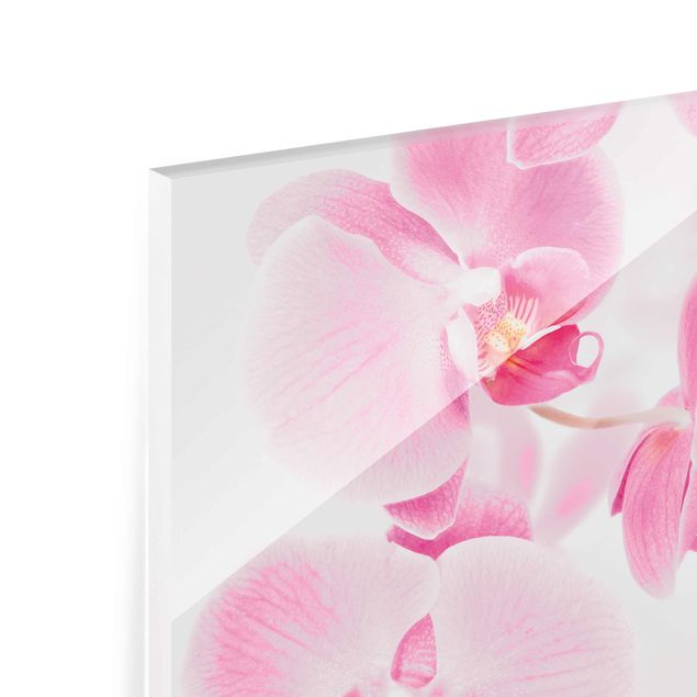 Tableaux Orchidées délicates