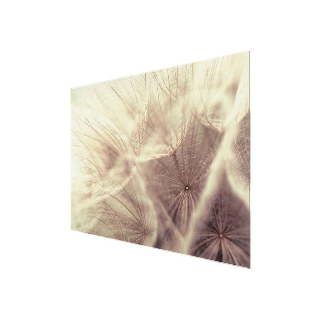 Tableaux Detailed Dandelion Macro Shot With Vintage Blur Effect