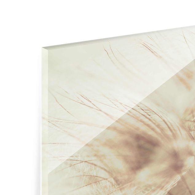 Tableau en verre - Detailed Dandelion Macro Shot With Vintage Blur Effect