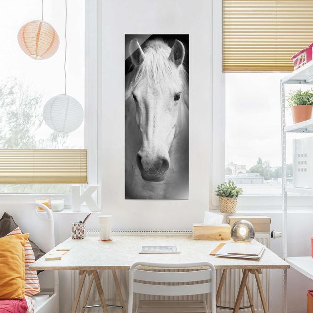 Tableaux en verre noir et blanc Rêve d'un cheval