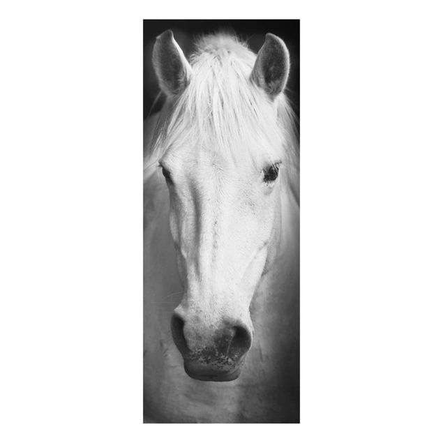 Tableaux noir et blanc Rêve d'un cheval