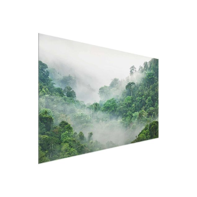 Tableau jungle Jungle dans le brouillard