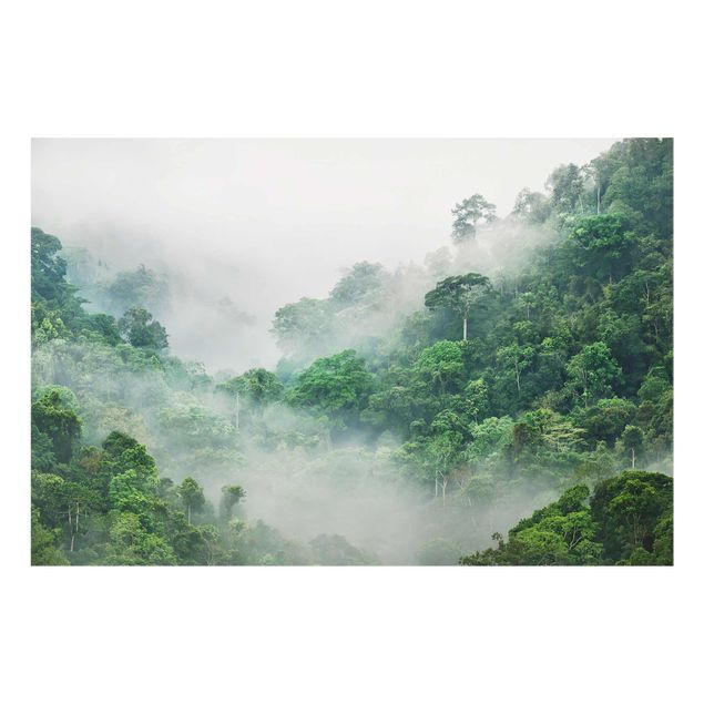 Tableaux en verre fleurs Jungle dans le brouillard