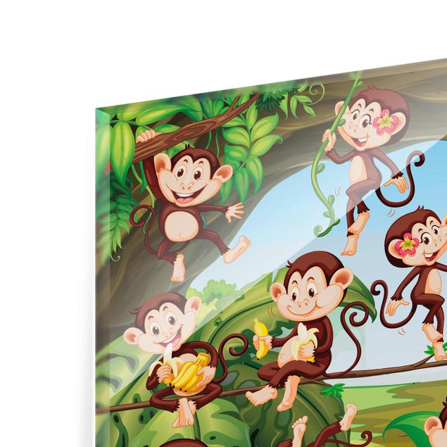 Tableaux en verre magnétique Jungle Monkeys
