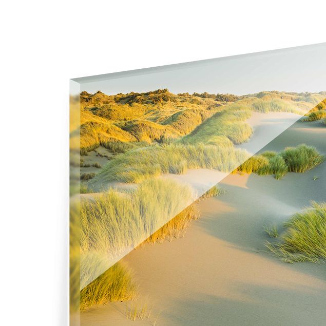Tableau verre paysage Dunes et herbes à la mer