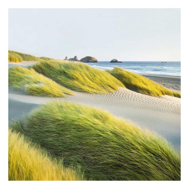 Tableaux plage Dunes et herbes à la mer