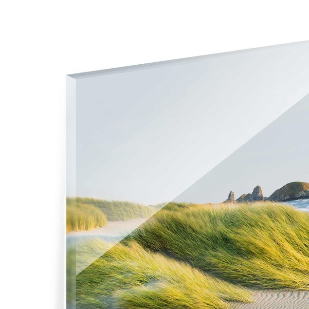 Tableau verre paysage Dunes et herbes à la mer