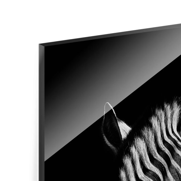 Tableaux Silhouette de zèbre en noir et blanc